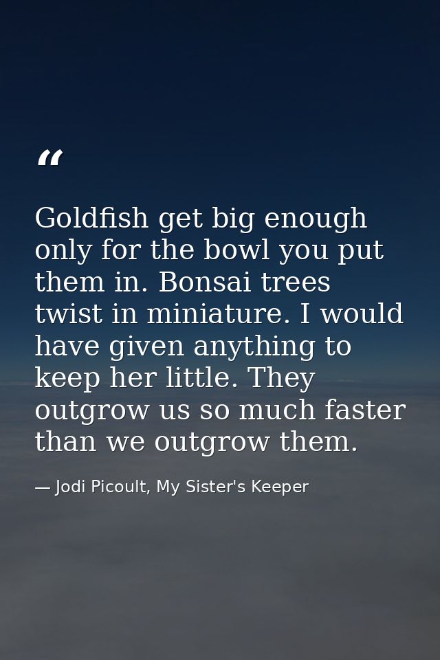Goldfish get big enough only for the bowl you put them in. Bonsai trees twist in miniature. I would have given anything  — Jodi Picoult, My Sister's Keeper