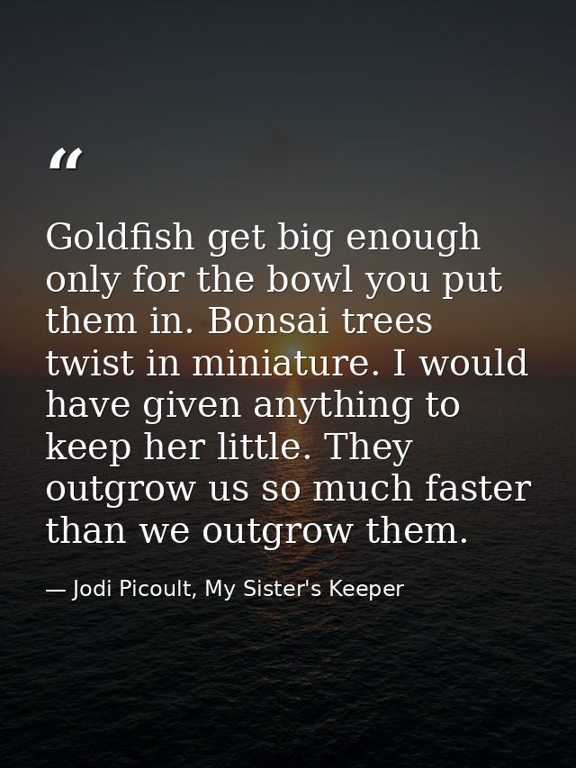 Goldfish get big enough only for the bowl you put them in. Bonsai trees twist in miniature. I would have given anything  — Jodi Picoult, My Sister's Keeper