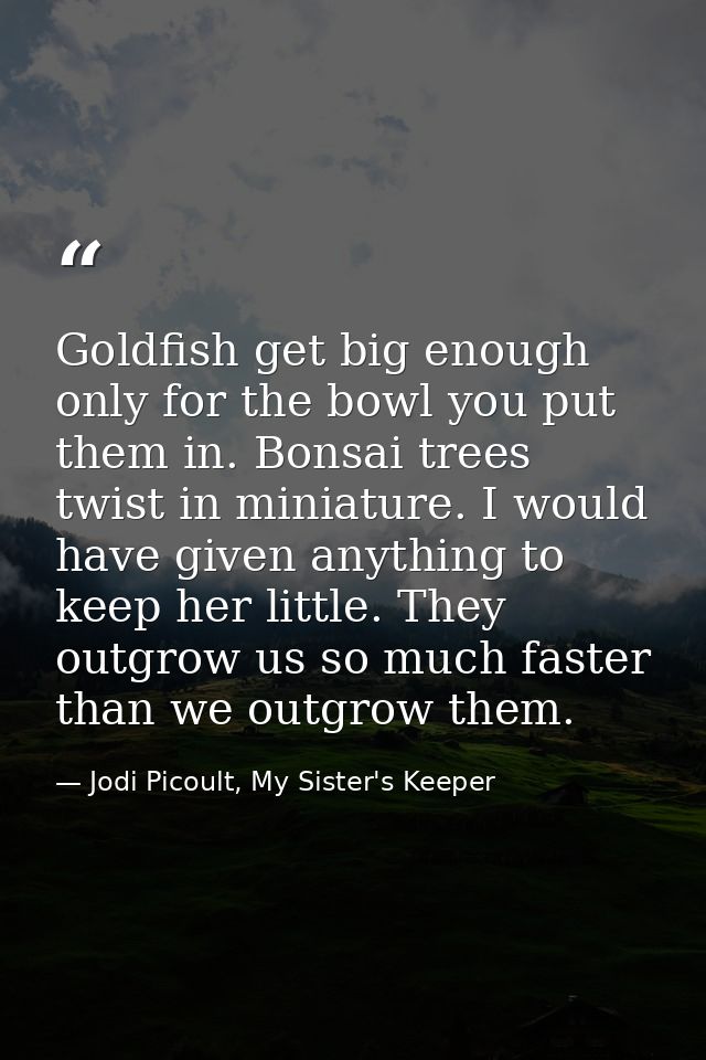 Goldfish get big enough only for the bowl you put them in. Bonsai trees twist in miniature. I would have given anything  — Jodi Picoult, My Sister's Keeper