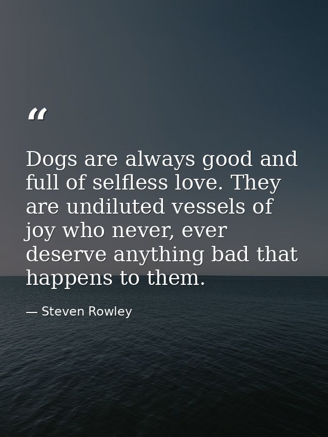 Dogs are always good and full of selfless love. They are undiluted vessels of joy who never, ever deserve anything bad t — Steven Rowley