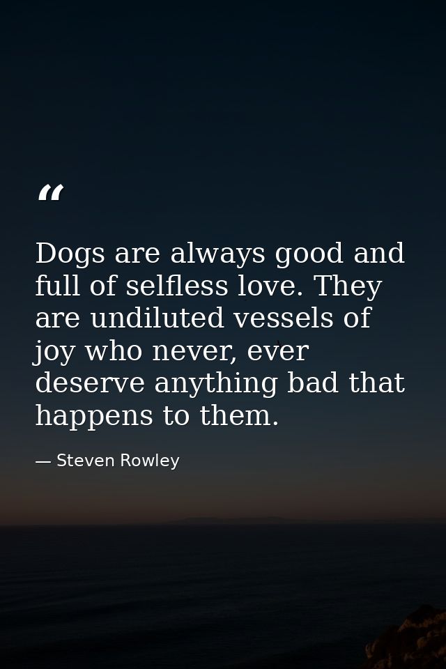 Dogs are always good and full of selfless love. They are undiluted vessels of joy who never, ever deserve anything bad t — Steven Rowley