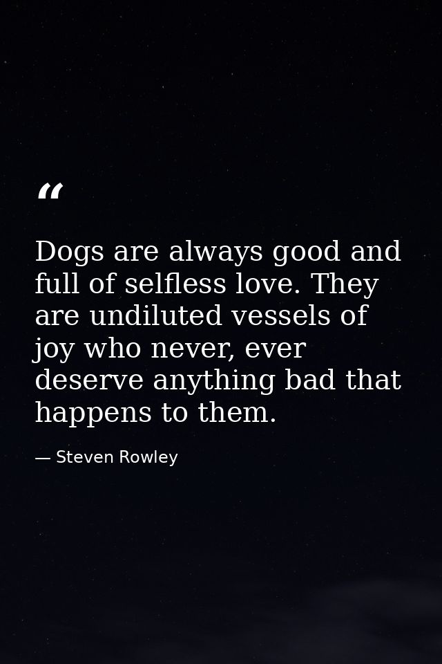 Dogs are always good and full of selfless love. They are undiluted vessels of joy who never, ever deserve anything bad t — Steven Rowley