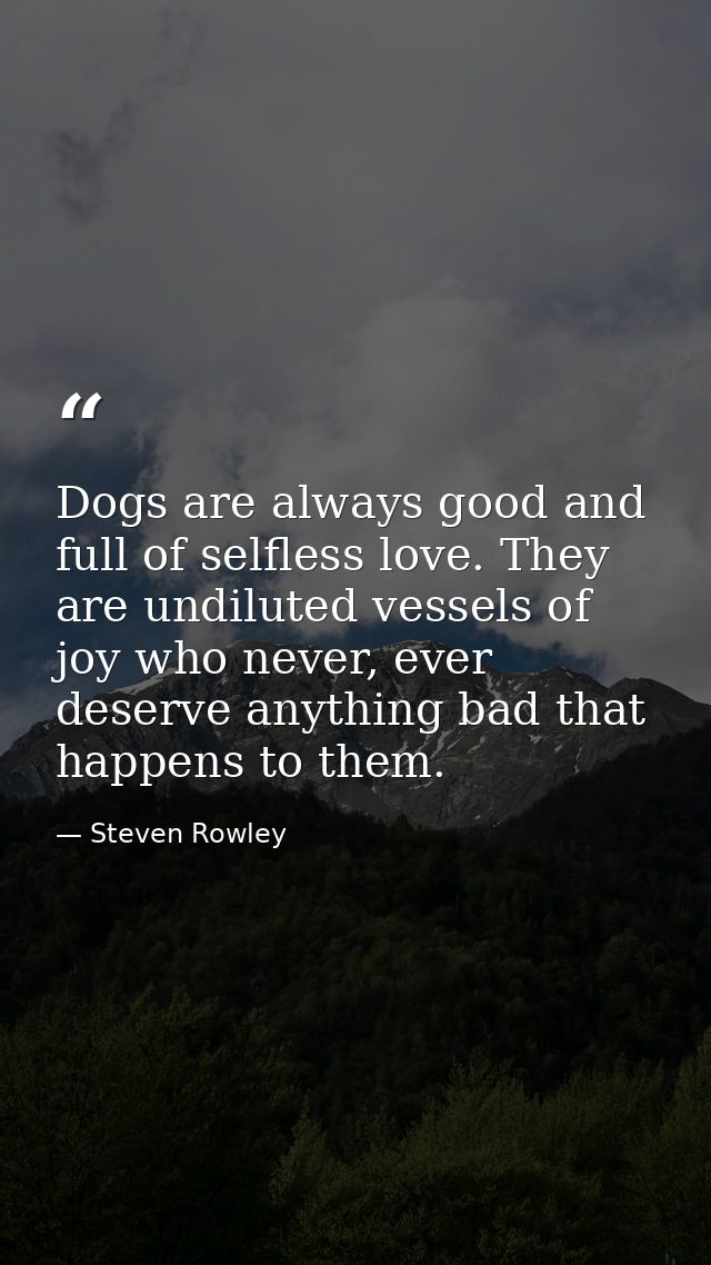 Dogs are always good and full of selfless love. They are undiluted vessels of joy who never, ever deserve anything bad t — Steven Rowley