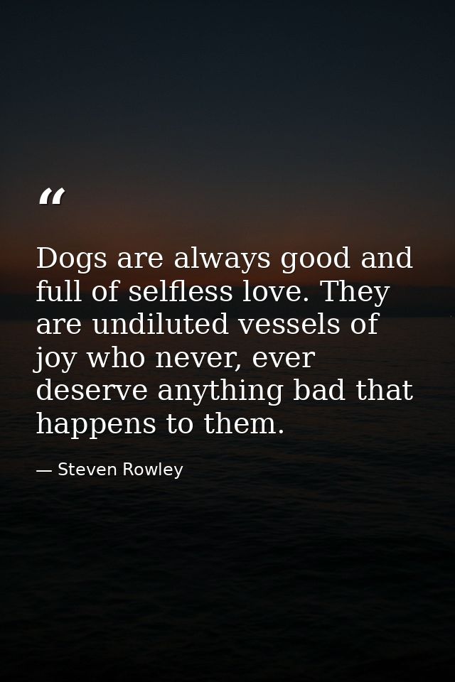 Dogs are always good and full of selfless love. They are undiluted vessels of joy who never, ever deserve anything bad t — Steven Rowley
