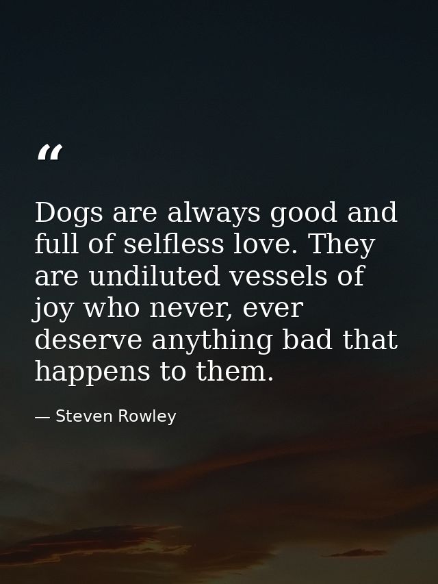 Dogs are always good and full of selfless love. They are undiluted vessels of joy who never, ever deserve anything bad t — Steven Rowley