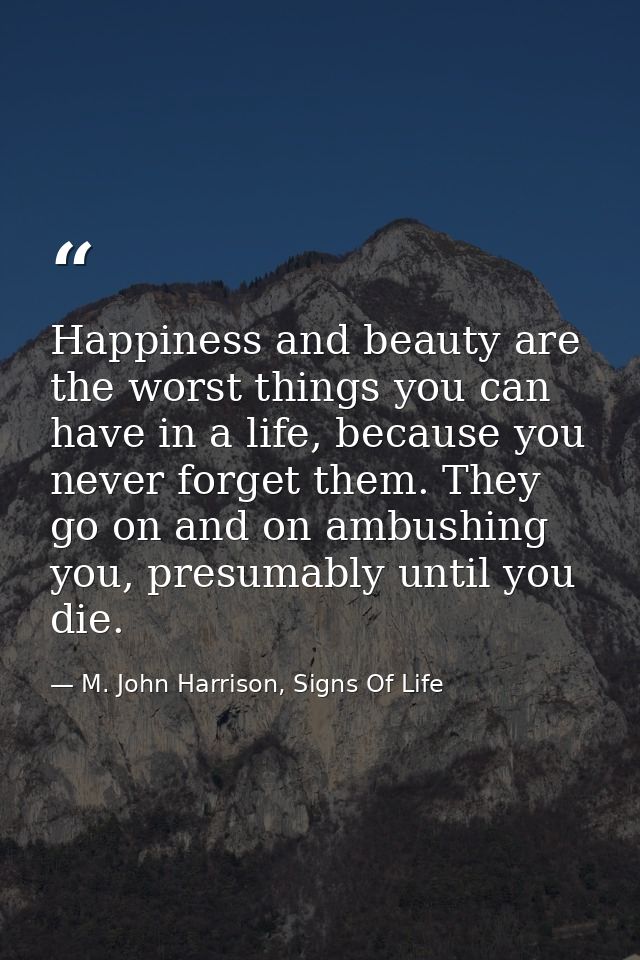 Happiness and beauty are the worst things you can have in a life, because you never forget them. They go on and on ambus — M. John Harrison, Signs Of Life