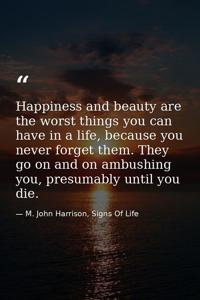 Happiness and beauty are the worst things you can have in a life, because you never forget them. They go on and on ambus — M. John Harrison, Signs Of Life