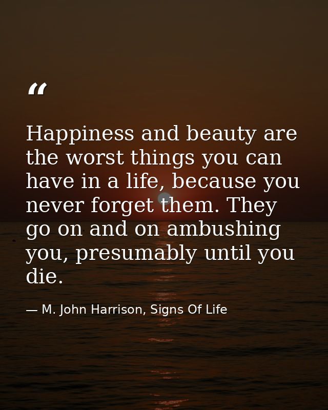 Happiness and beauty are the worst things you can have in a life, because you never forget them. They go on and on ambus — M. John Harrison, Signs Of Life