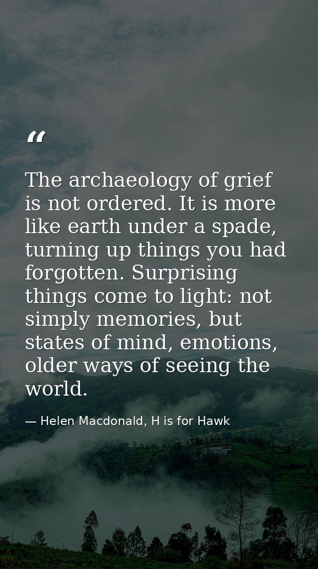 The archaeology of grief is not ordered. It is more like earth under a spade, turning up things you had forgotten. Surpr — Helen Macdonald, H is for Hawk