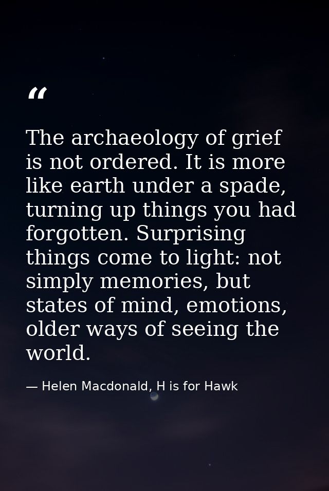 The archaeology of grief is not ordered. It is more like earth under a spade, turning up things you had forgotten. Surpr — Helen Macdonald, H is for Hawk