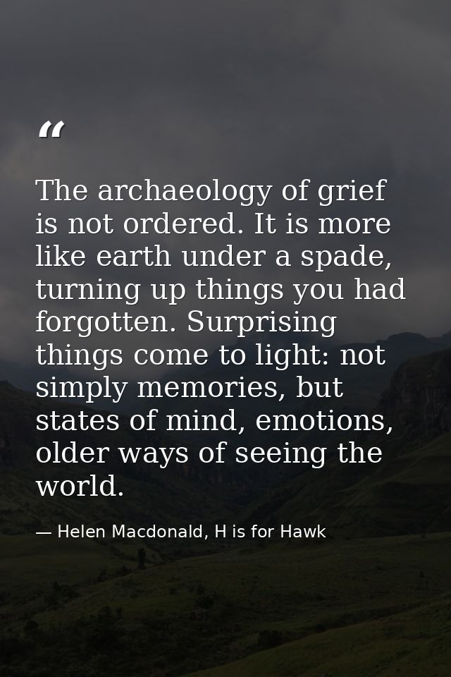 The archaeology of grief is not ordered. It is more like earth under a spade, turning up things you had forgotten. Surpr — Helen Macdonald, H is for Hawk