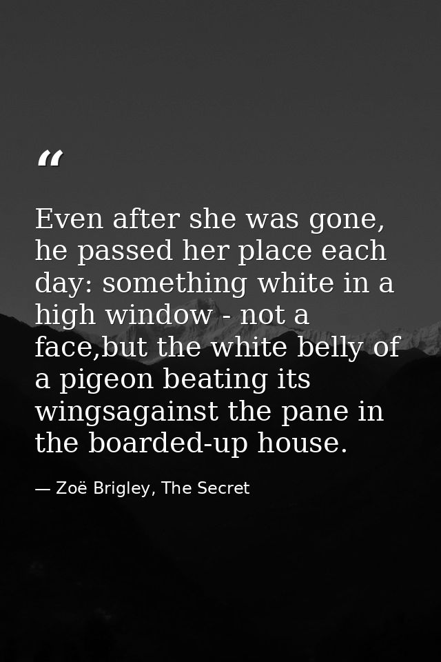 Even after she was gone, he passed her place each day: something white in a high window - not a face,but the white belly — Zoë Brigley, The Secret
