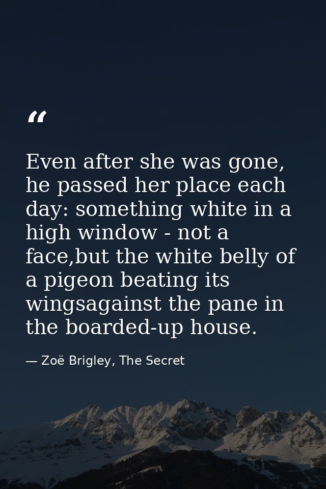 Even after she was gone, he passed her place each day: something white in a high window - not a face,but the white belly — Zoë Brigley, The Secret