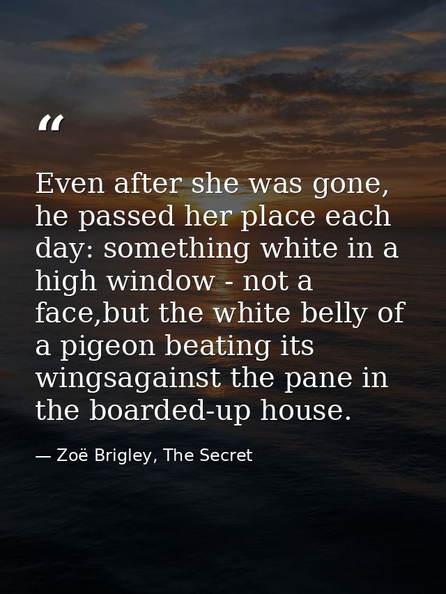 Even after she was gone, he passed her place each day: something white in a high window - not a face,but the white belly — Zoë Brigley, The Secret