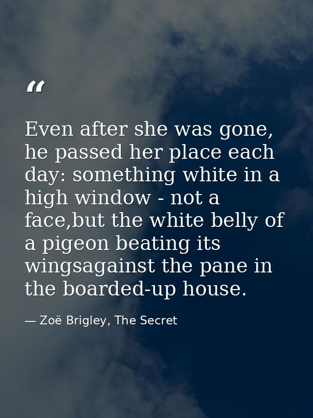 Even after she was gone, he passed her place each day: something white in a high window - not a face,but the white belly — Zoë Brigley, The Secret