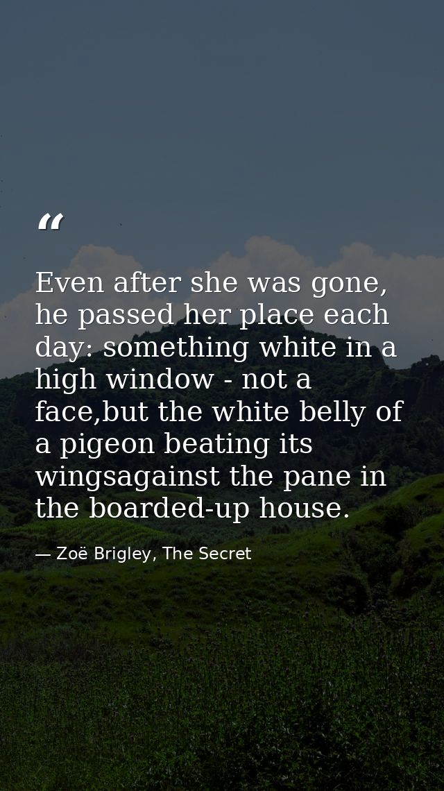 Even after she was gone, he passed her place each day: something white in a high window - not a face,but the white belly — Zoë Brigley, The Secret