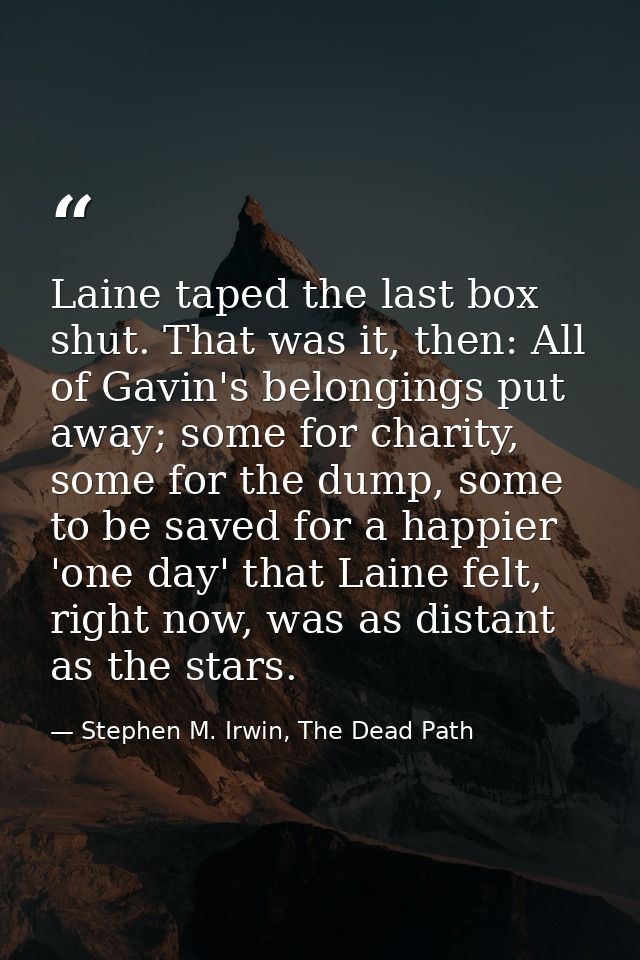 Laine taped the last box shut. That was it, then: All of Gavin's belongings put away; some for charity, some for the dum — Stephen M. Irwin, The Dead Path