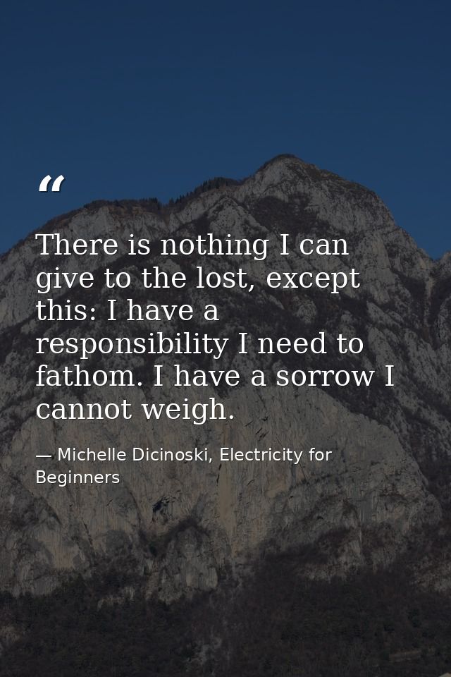 There is nothing I can give to the lost, except this: I have a responsibility I need to fathom. I have a sorrow I cannot — Michelle Dicinoski, Electricity for Beginners