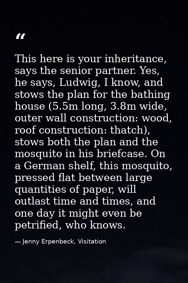 This here is your inheritance, says the senior partner. Yes, he says, Ludwig, I know, and stows the plan for the bathing — Jenny Erpenbeck, Visitation