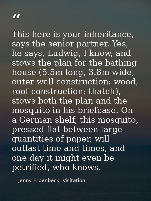 This here is your inheritance, says the senior partner. Yes, he says, Ludwig, I know, and stows the plan for the bathing — Jenny Erpenbeck, Visitation