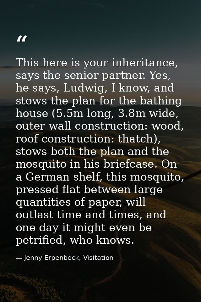 This here is your inheritance, says the senior partner. Yes, he says, Ludwig, I know, and stows the plan for the bathing — Jenny Erpenbeck, Visitation