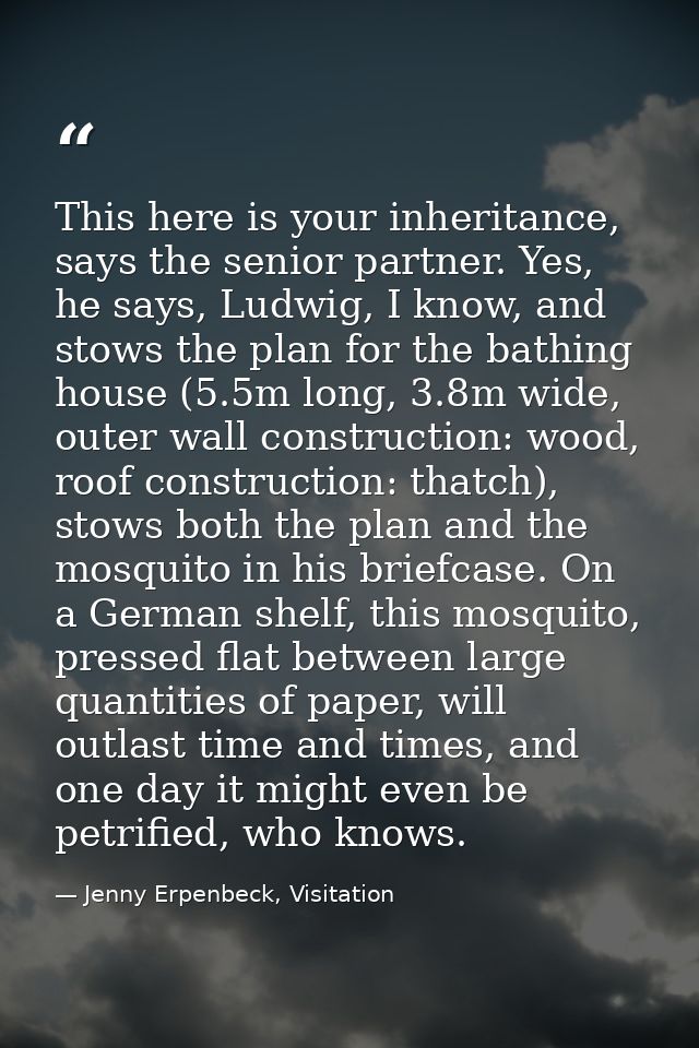 This here is your inheritance, says the senior partner. Yes, he says, Ludwig, I know, and stows the plan for the bathing — Jenny Erpenbeck, Visitation
