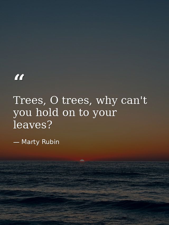 Trees, O trees, why can't you hold on to your leaves? — Marty Rubin