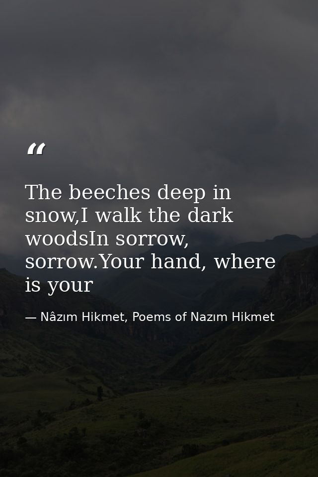 The beeches deep in snow,I walk the dark woodsIn sorrow, sorrow.Your hand, where is your — Nâzım Hikmet, Poems of Nazım Hikmet