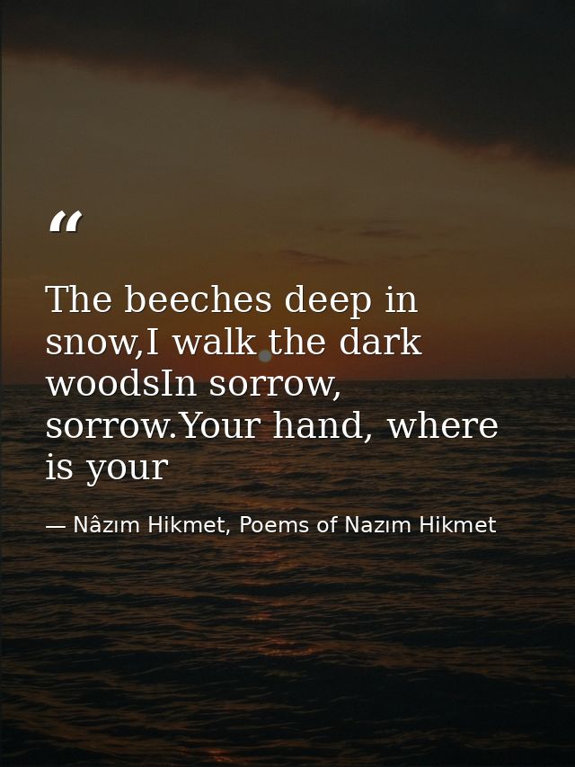 The beeches deep in snow,I walk the dark woodsIn sorrow, sorrow.Your hand, where is your — Nâzım Hikmet, Poems of Nazım Hikmet