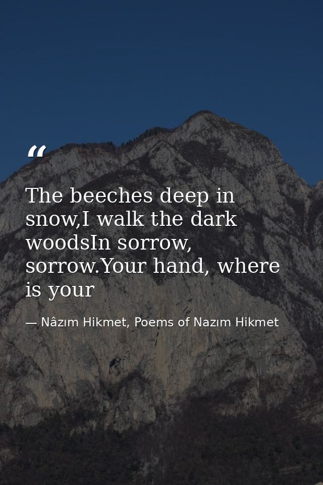 The beeches deep in snow,I walk the dark woodsIn sorrow, sorrow.Your hand, where is your — Nâzım Hikmet, Poems of Nazım Hikmet