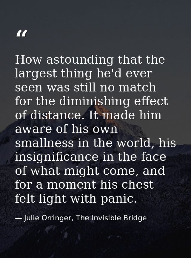 How astounding that the largest thing he'd ever seen was still no match for the diminishing effect of distance. It made  — Julie Orringer, The Invisible Bridge