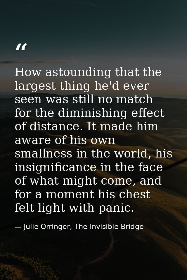 How astounding that the largest thing he'd ever seen was still no match for the diminishing effect of distance. It made  — Julie Orringer, The Invisible Bridge