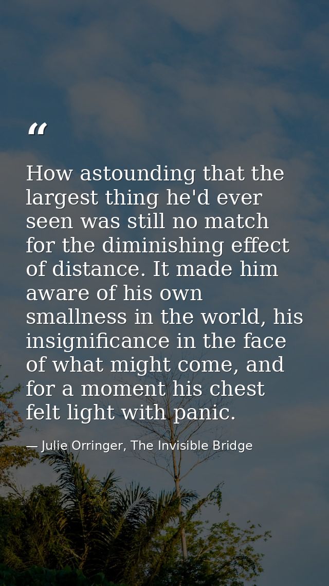 How astounding that the largest thing he'd ever seen was still no match for the diminishing effect of distance. It made  — Julie Orringer, The Invisible Bridge