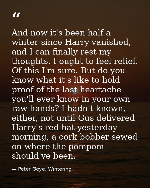 And now it's been half a winter since Harry vanished, and I can finally rest my thoughts. I ought to feel relief. Of thi — Peter Geye, Wintering