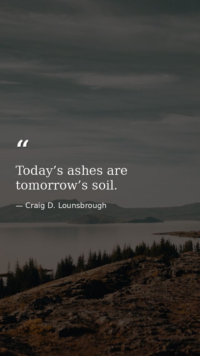Today’s ashes are tomorrow’s soil. — Craig D. Lounsbrough