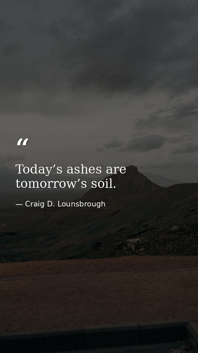 Today’s ashes are tomorrow’s soil. — Craig D. Lounsbrough