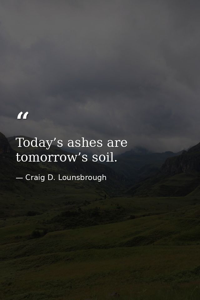 Today’s ashes are tomorrow’s soil. — Craig D. Lounsbrough