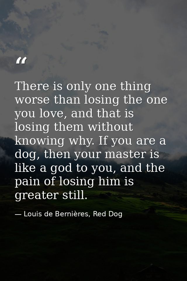There is only one thing worse than losing the one you love, and that is losing them without knowing why. If you are a do — Louis de Bernières, Red Dog