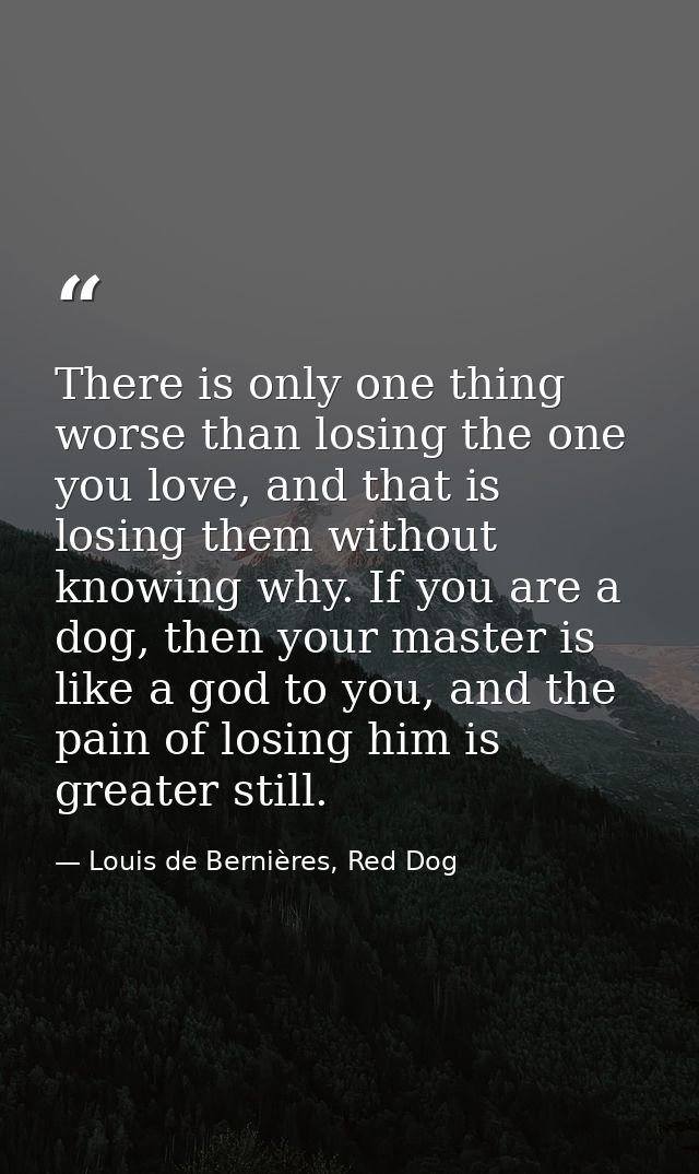 There is only one thing worse than losing the one you love, and that is losing them without knowing why. If you are a do — Louis de Bernières, Red Dog