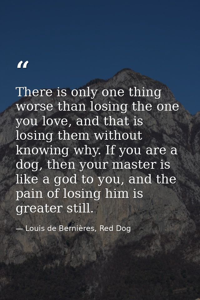 There is only one thing worse than losing the one you love, and that is losing them without knowing why. If you are a do — Louis de Bernières, Red Dog