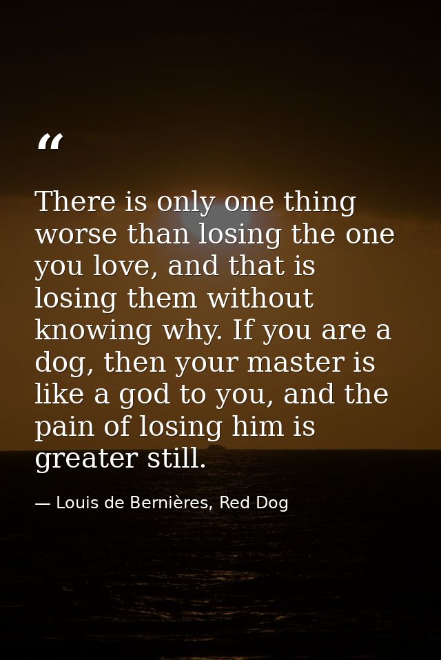 There is only one thing worse than losing the one you love, and that is losing them without knowing why. If you are a do — Louis de Bernières, Red Dog