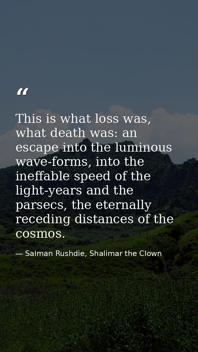 This is what loss was, what death was: an escape into the luminous wave-forms, into the ineffable speed of the light-yea — Salman Rushdie, Shalimar the Clown