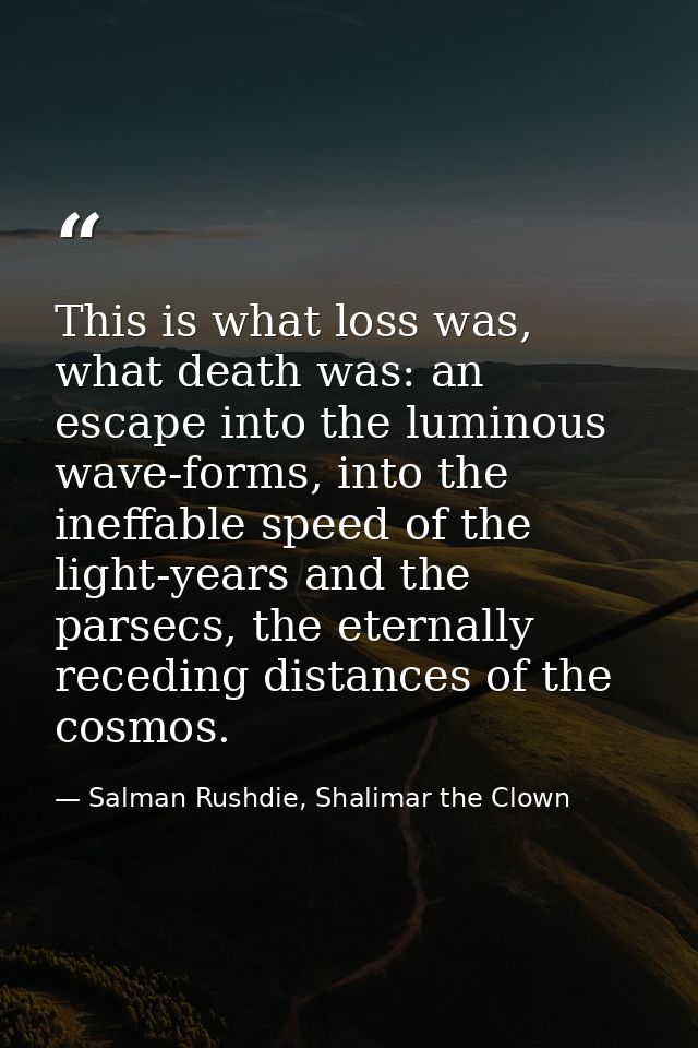This is what loss was, what death was: an escape into the luminous wave-forms, into the ineffable speed of the light-yea — Salman Rushdie, Shalimar the Clown