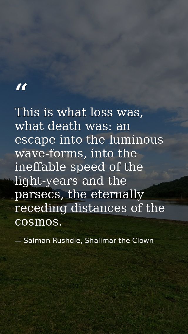 This is what loss was, what death was: an escape into the luminous wave-forms, into the ineffable speed of the light-yea — Salman Rushdie, Shalimar the Clown