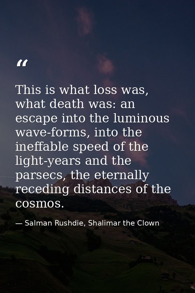This is what loss was, what death was: an escape into the luminous wave-forms, into the ineffable speed of the light-yea — Salman Rushdie, Shalimar the Clown