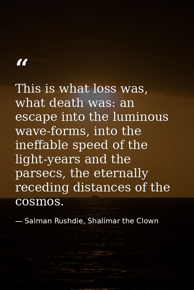 This is what loss was, what death was: an escape into the luminous wave-forms, into the ineffable speed of the light-yea — Salman Rushdie, Shalimar the Clown