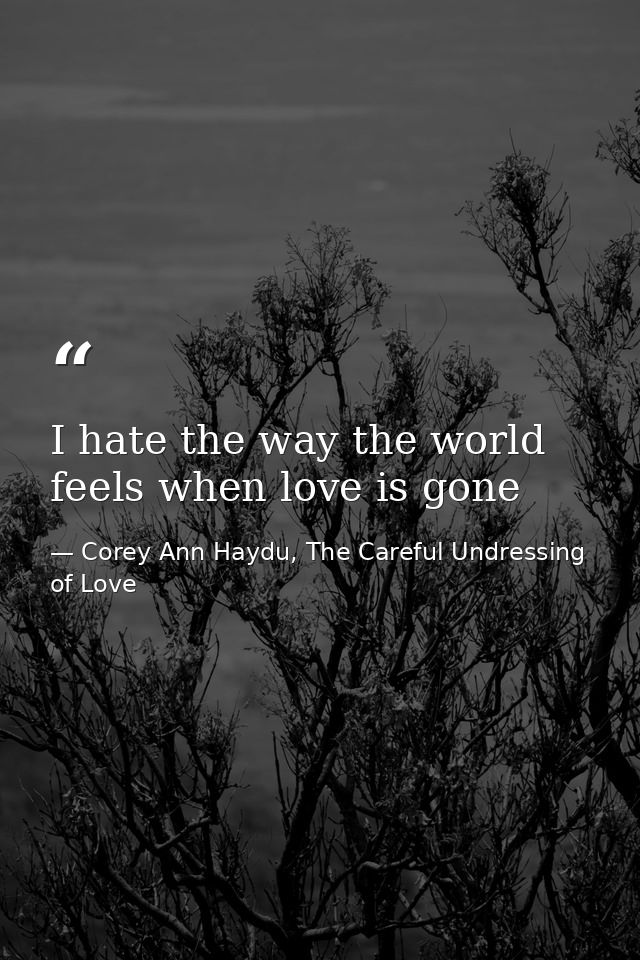 I hate the way the world feels when love is gone — Corey Ann Haydu, The Careful Undressing of Love