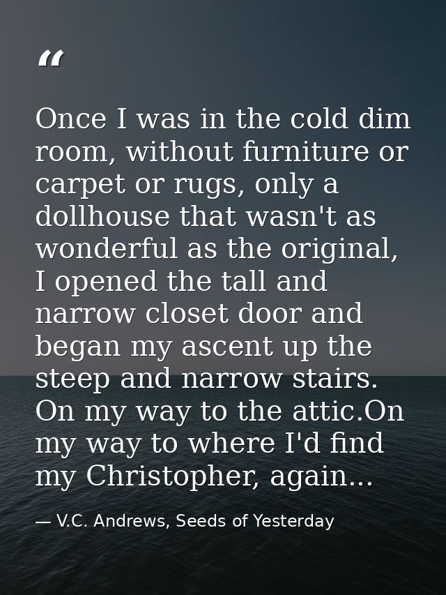 Once I was in the cold dim room, without furniture or carpet or rugs, only a dollhouse that wasn't as wonderful as the o — V.C. Andrews, Seeds of Yesterday