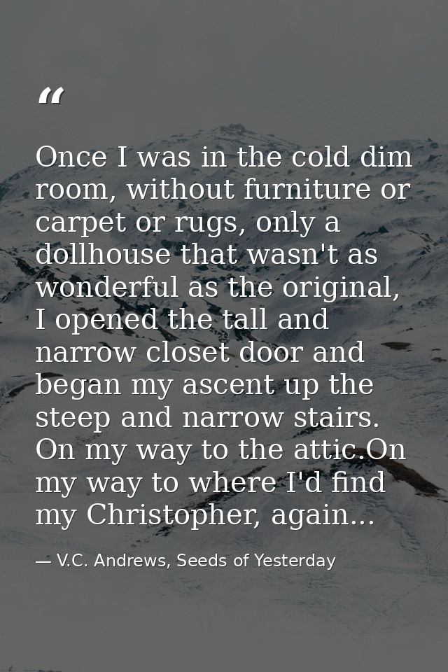 Once I was in the cold dim room, without furniture or carpet or rugs, only a dollhouse that wasn't as wonderful as the o — V.C. Andrews, Seeds of Yesterday