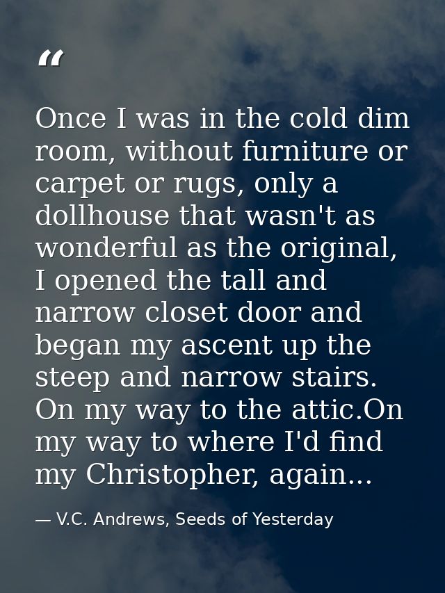 Once I was in the cold dim room, without furniture or carpet or rugs, only a dollhouse that wasn't as wonderful as the o — V.C. Andrews, Seeds of Yesterday